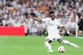 柱后钻入网 柱后钻入网